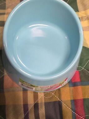 Ecoware Light Blue Raised Pet Bowl 8 Oz